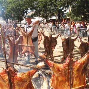 Programación para La XLIX Festa do Carneiro ao Espeto ® Programación para La XLIX Festa do Carneiro ao Espeto ®